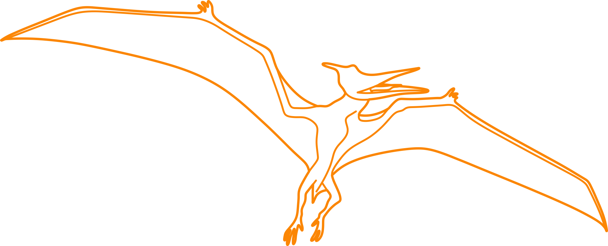 Animals Dinosaurs Pterodactyl Tracing Svg Vector Free Vectors